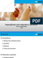 Aspergillosis and Respiratory Parasites