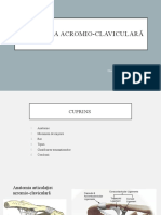Disjunctia Acromioclaviculara