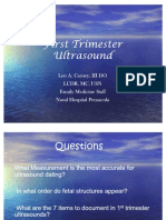 Carney - 1st Trimester Ultrasound USAFP PPTminimizer