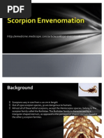 Download Scorpion by Hersh Hama SN62430519 doc pdf