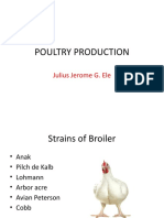 Poultry Housing and Deformities