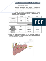 Actividades de Repaso