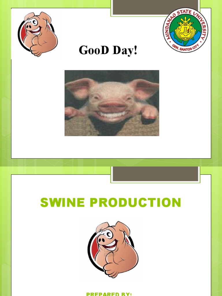New Swine Production Pdf Pig Medical Specialties