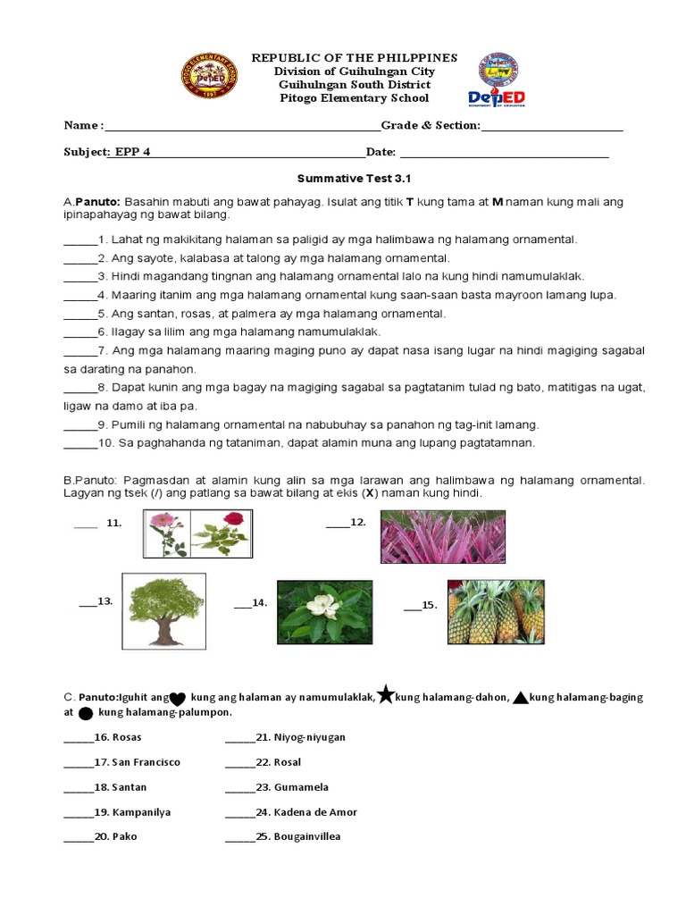 EPP 4Summative Test 3.1 PDF