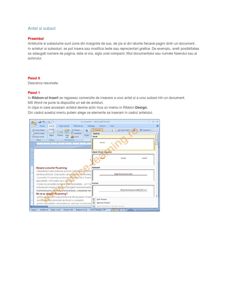 Antet Si Subsol | PDF