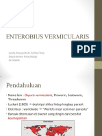 Enterobius Vermicularis