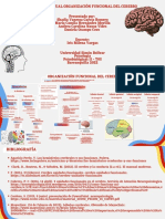 Mapa conceptual de organización funcional del cerebro