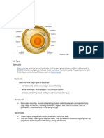 Specialized Cell Types and the Cell Cycle