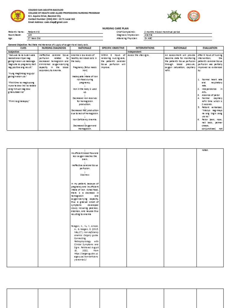 BSN 2F Nursing Care Plan | PDF | Anemia | Hemoglobin