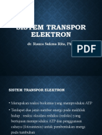 Sistem Transpor Elektron-2