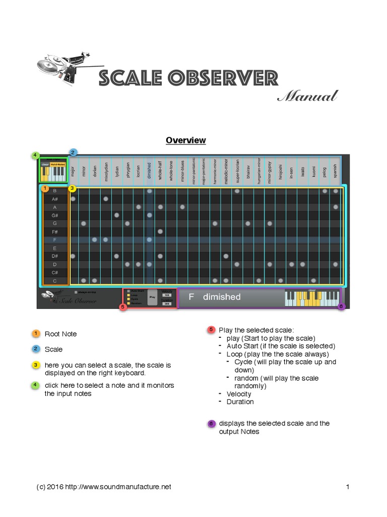 Scale Observer Maual | PDF