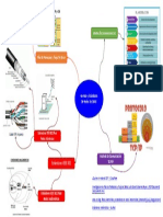 Mapa Mental Unidad 2 Normas y Estándares de Redes de Datos