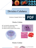 Divisões Celulares