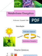 Metabolismo Energético.pptx