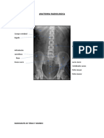 Anatomia Radiologica