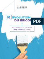 Rapport Revolution Bricolage