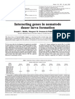 1981 - Interacting Genes in Nematode Dauer Larva Formation