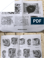 examen urinaire oran 2020-2021