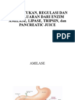 LO 3B Kabeh (Amilase,Lipase,Tripsin, Pancreatic Juice)