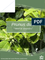 Revista Plantas Medicinales ARBOL DE ALMENDRO