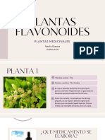 Presentación Plantas Flavonoides