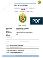 Constitucion Politica Alo PNP Trabajo Grupal