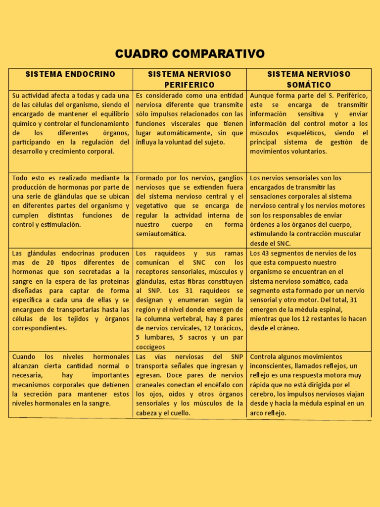 Cuadro comparativo pdf sistema nervioso anatom a