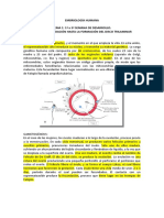 FO TEMA 01. Tres Primeras Semanas