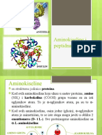 Aminokiseline I Peptidna Veza