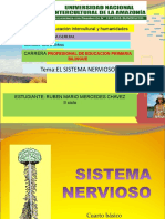 Psicologia Sistema Nervioso