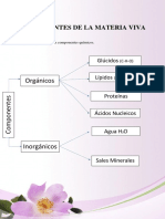 Materia de Cosmiatria - Anatomia