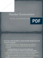 Hareket Terminolojisi