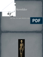 Kemikler