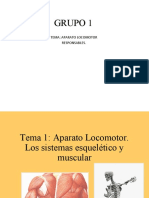 Aparato Locomotor