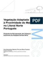 Vegetação Adaptada À Proximidade Do Mar No Litoral Norte Português