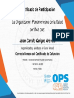 Curso Virtual Sobre El Correcto Llenado Del Certificado de Defunción, RELACSIS-Certificado de Aprobación 2724310