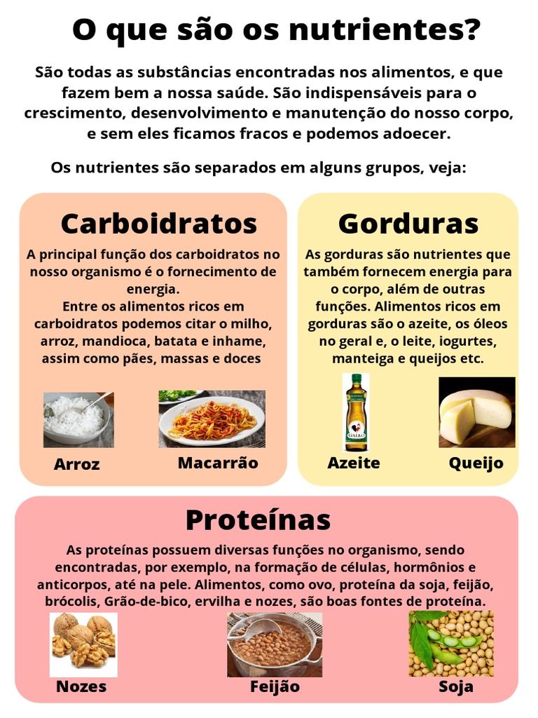 Funções dos Nutrientes no Organismo | PDF | Estilo de vida