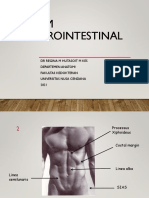 Anatomi Sistem Gastrointestinal 2021