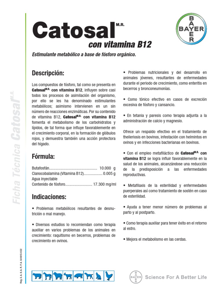 Ficha Técnica de Catosal M.R. | PDF | Vitamina B12 | Vacas