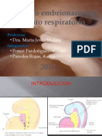 Diapos de Sistema Respiratorio