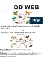 Food Web