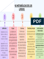 Mapa Rutas Metabólicas de Los Lipidos - Nimcy Mauricio