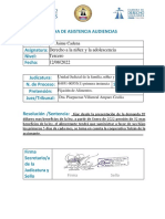 Audiencias Derecho de La Niñez.