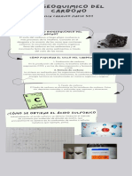 Biogeoquimico Del Carbono