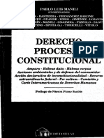 Derecho Procesal Constitucional - Pablo Luis Manili