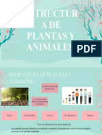 Plantas y Animales.21