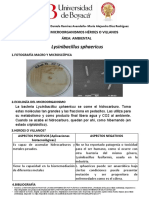POSTER Lysinibacillus Sphaericus