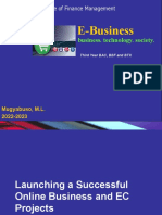 Launching A Successful E-Business Project