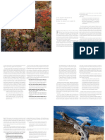 Bertonatti (2014) - Francisco P Moreno - Un Naturalista Desvelado Por El Bien Común (Capítulo Del Libro Sobre El Parque Nacional Perito Moreno)