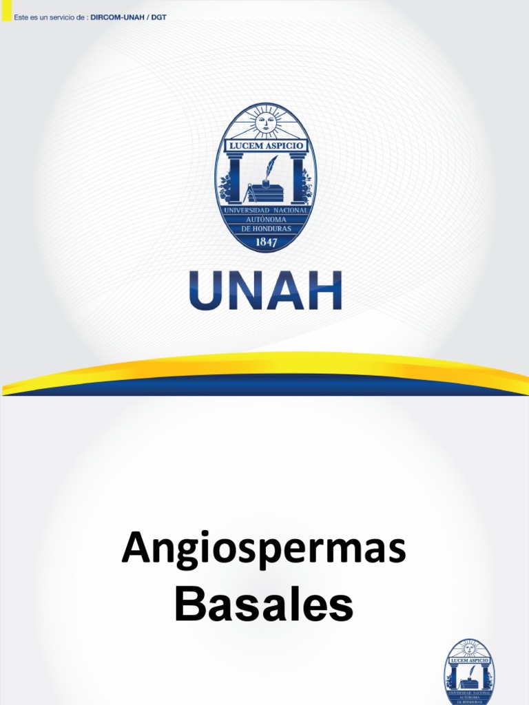 Características de Magnoliales Basales | PDF | Flores | Plantas